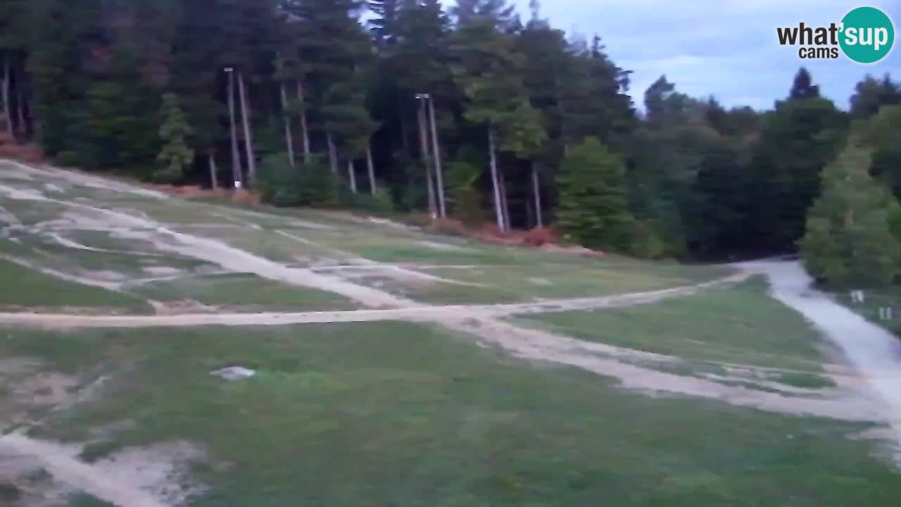 Webcam Pohorje Trikotna Jasa | Poštela