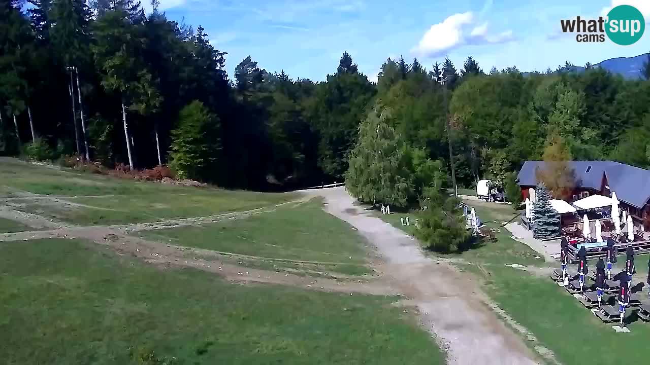 Webcam Pohorje Trikotna Jasa | Poštela