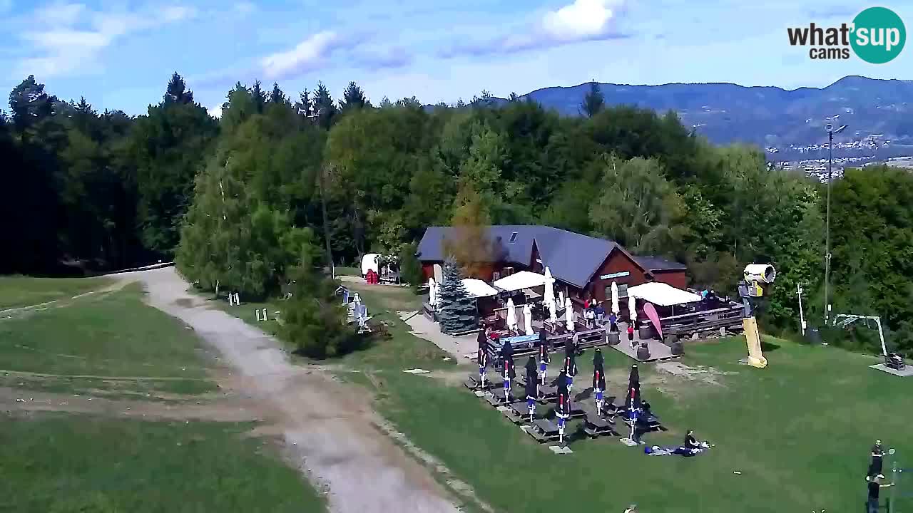 Webcam Pohorje Trikotna Jasa | Poštela
