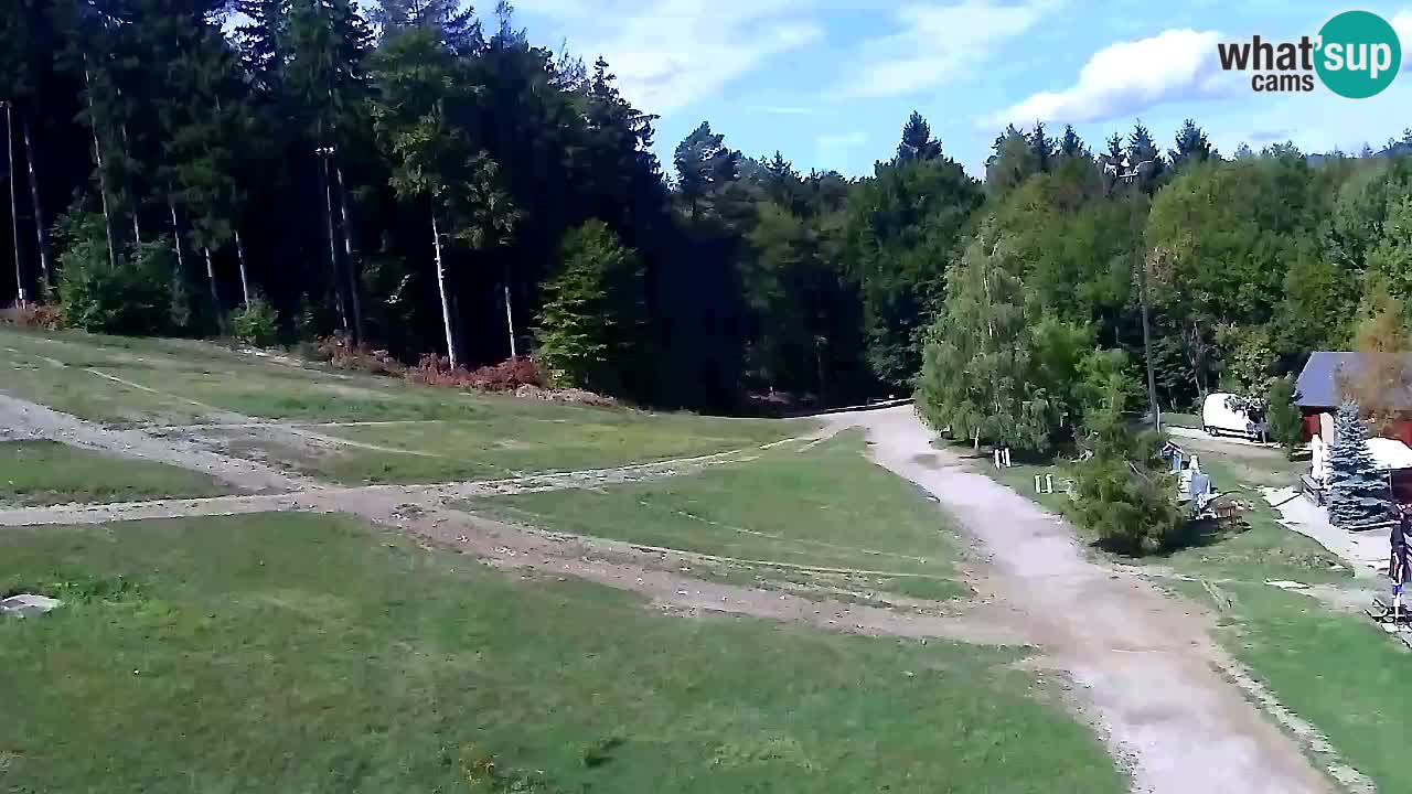Webcam Pohorje Trikotna Jasa | Poštela
