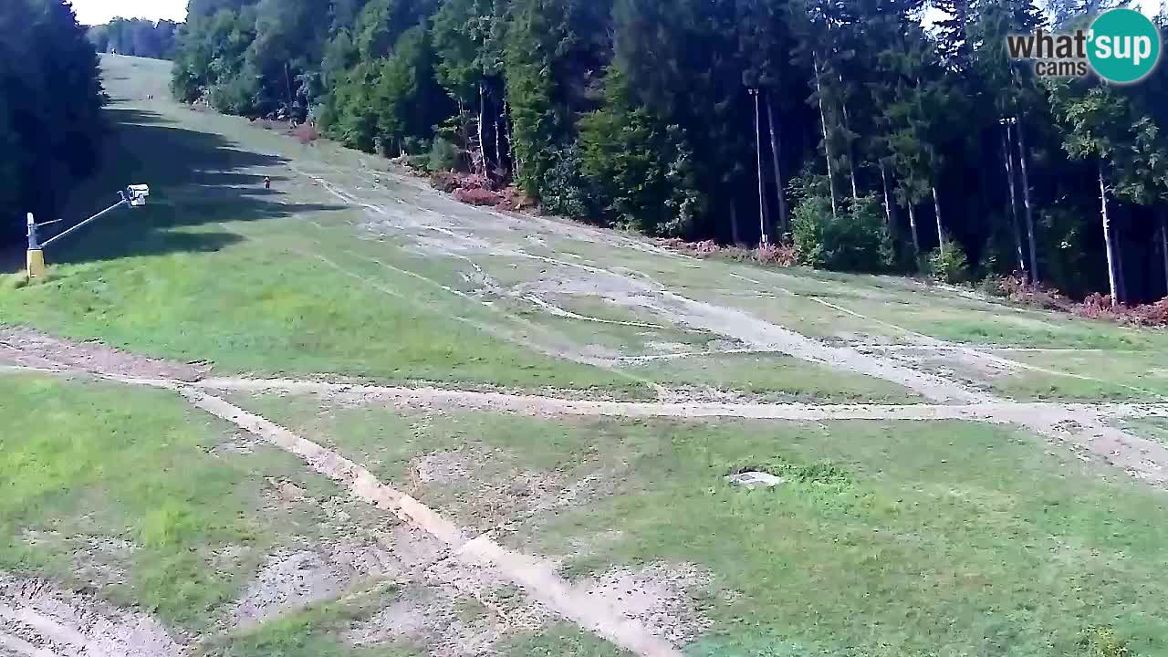 Webcam Pohorje Trikotna Jasa | Poštela