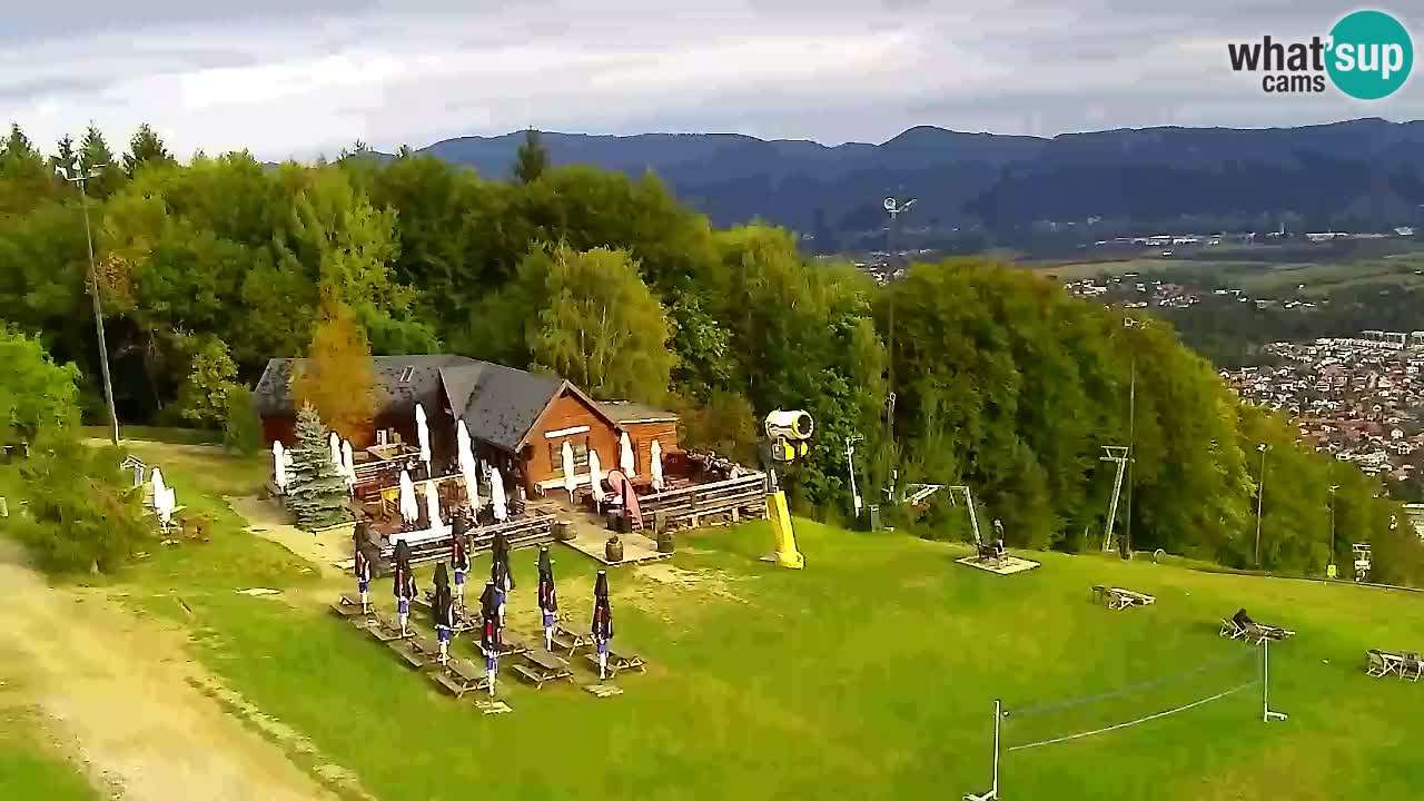 Webcam Pohorje Trikotna Jasa | Poštela