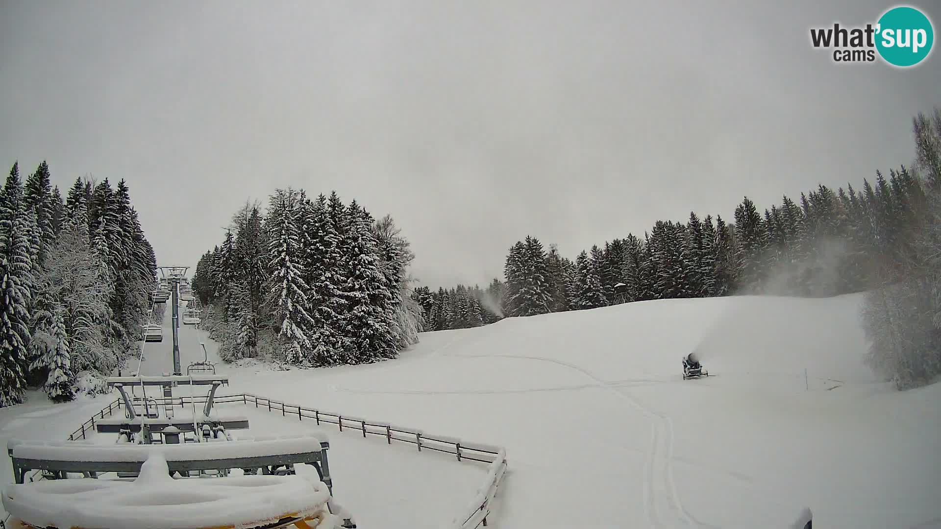 Camera Pohorje Ruška | Estación Inferior