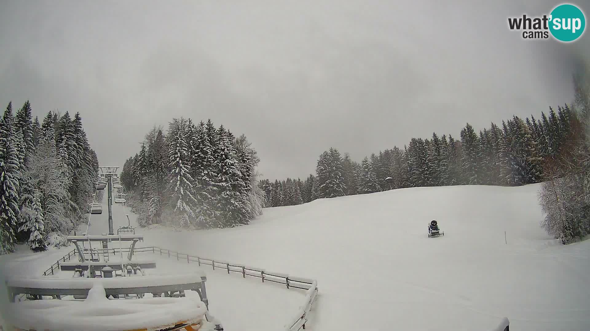 Camera Pohorje Ruška | Estación Inferior