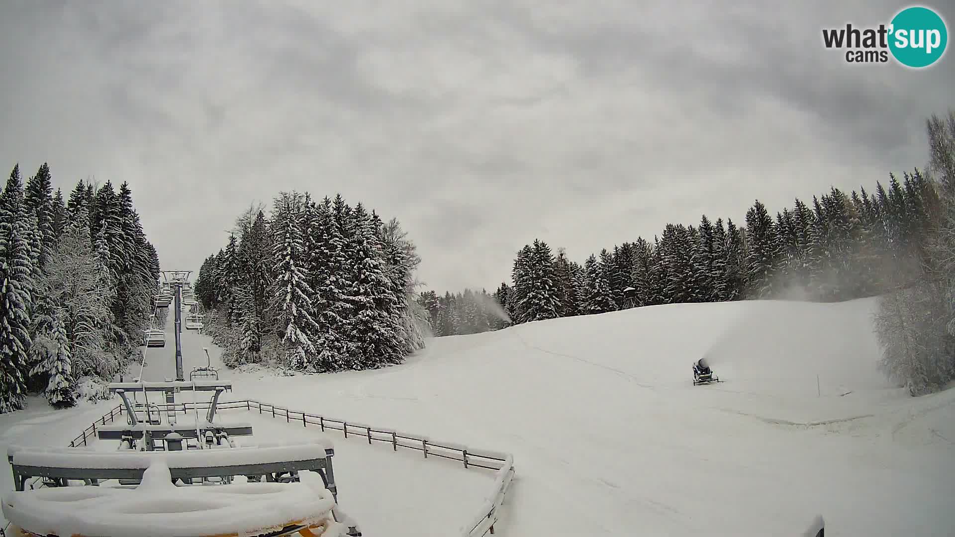 Webcam Pohorje Ruška | Stazione Inferiore