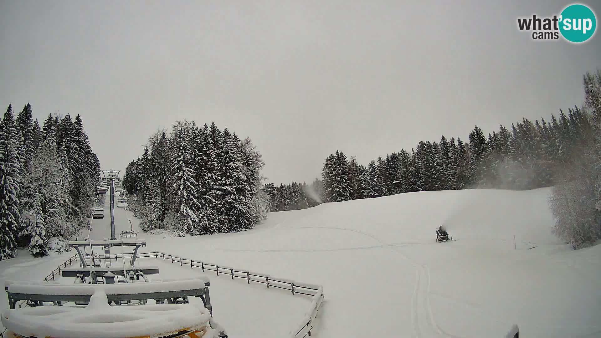 Webcam Pohorje Ruška | Stazione Inferiore