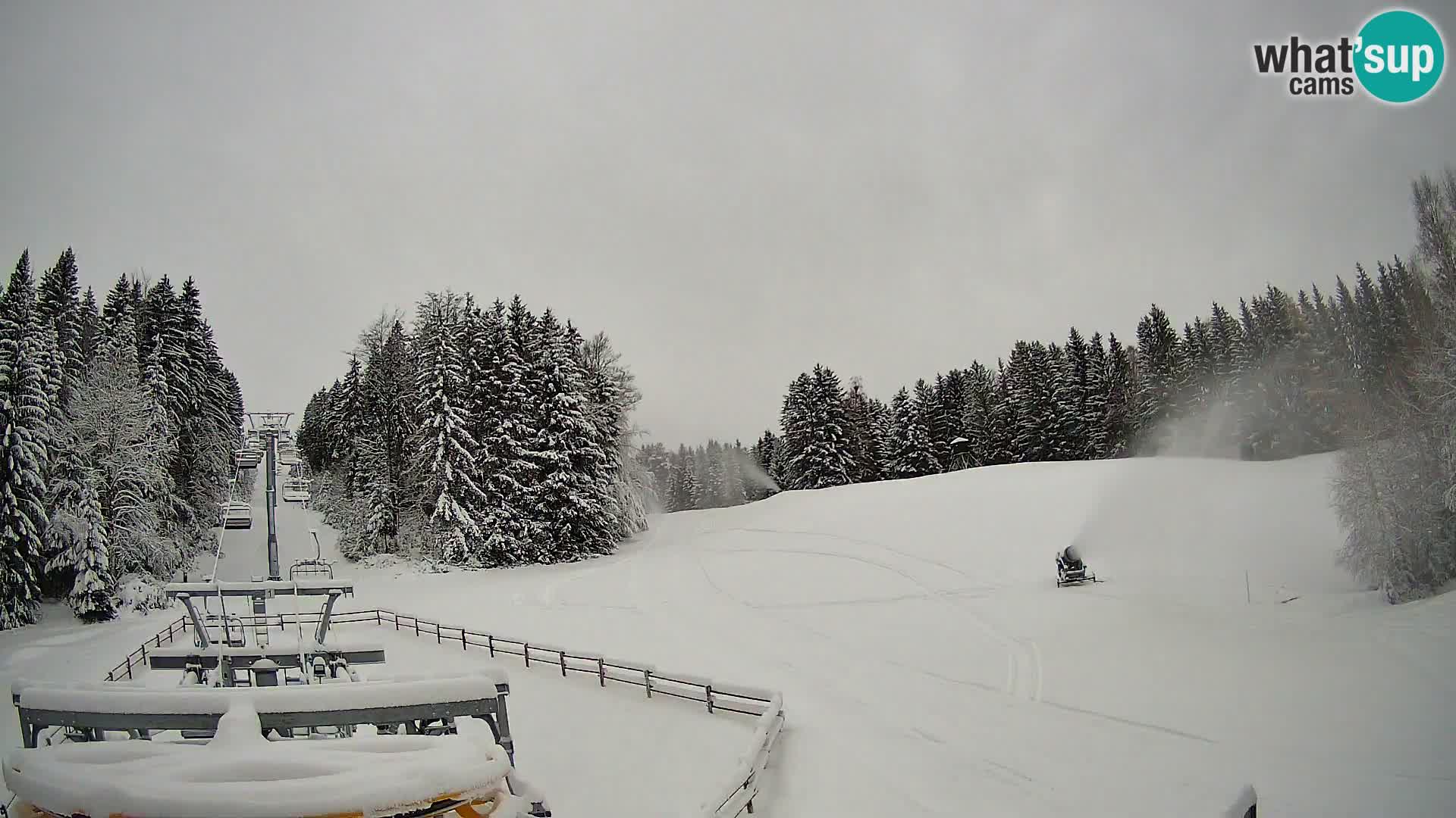 Webcam Pohorje Ruška | Stazione Inferiore