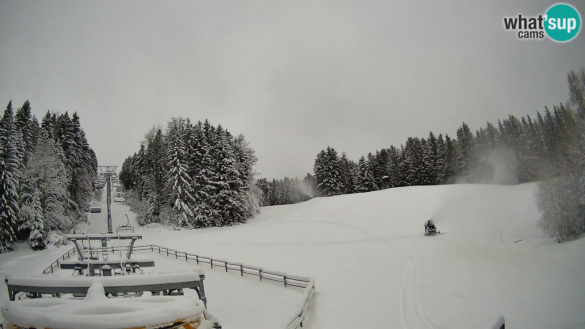 Camera Pohorje Ruška | Estación Inferior