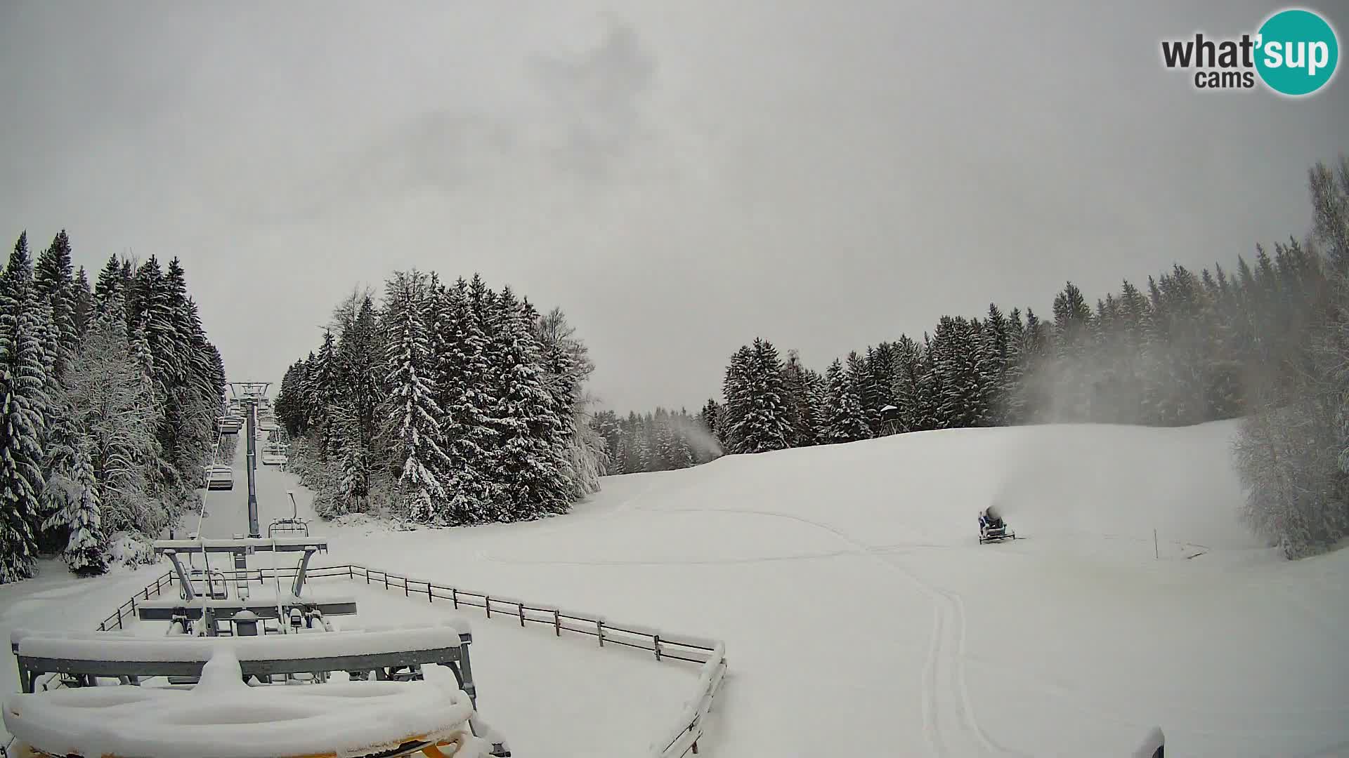 Webcam Pohorje Ruška | Stazione Inferiore