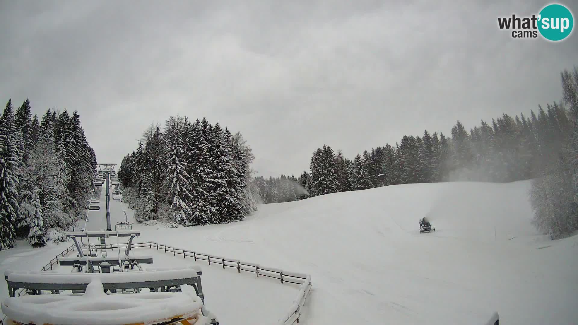 Webcam Pohorje Ruška | Talstation