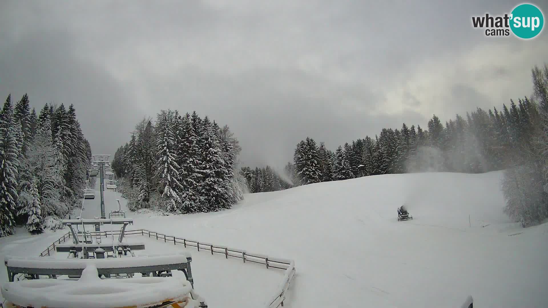 Webcam Pohorje Ruška | Stazione Inferiore