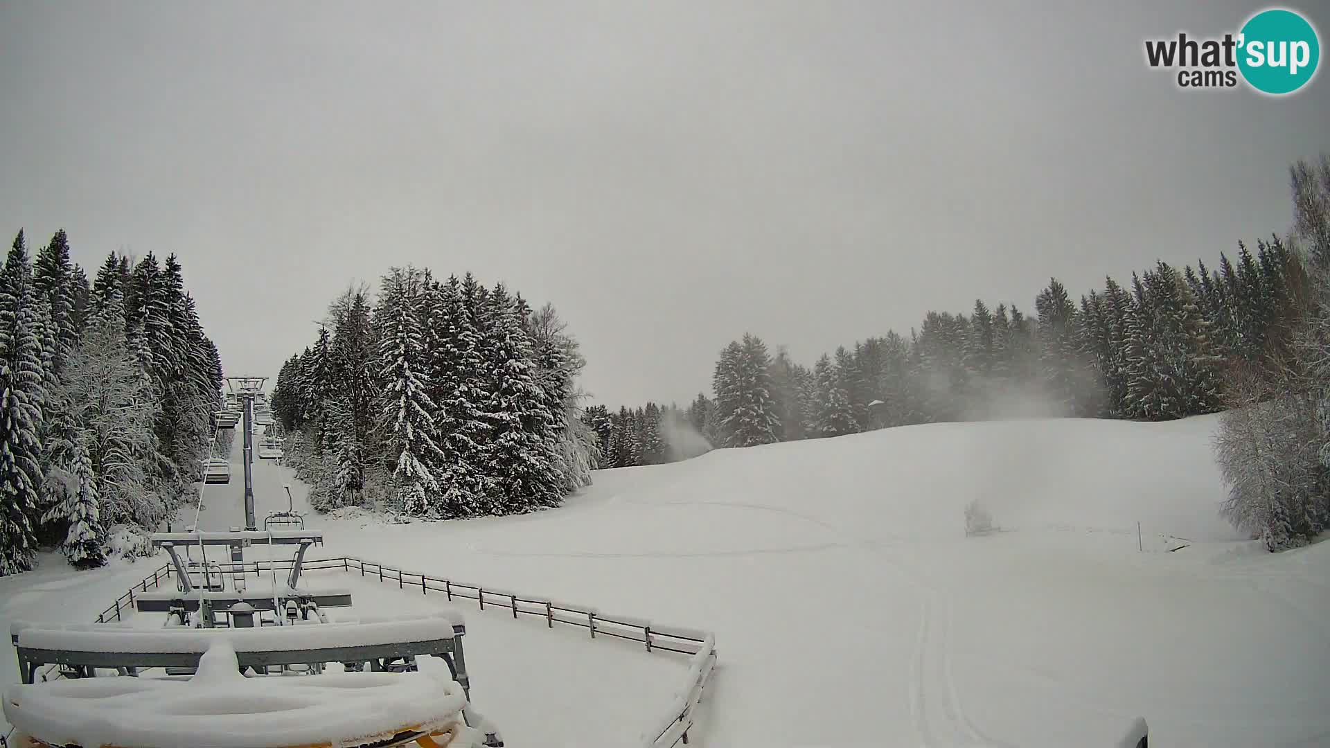 Camera Pohorje Ruška | Estación Inferior