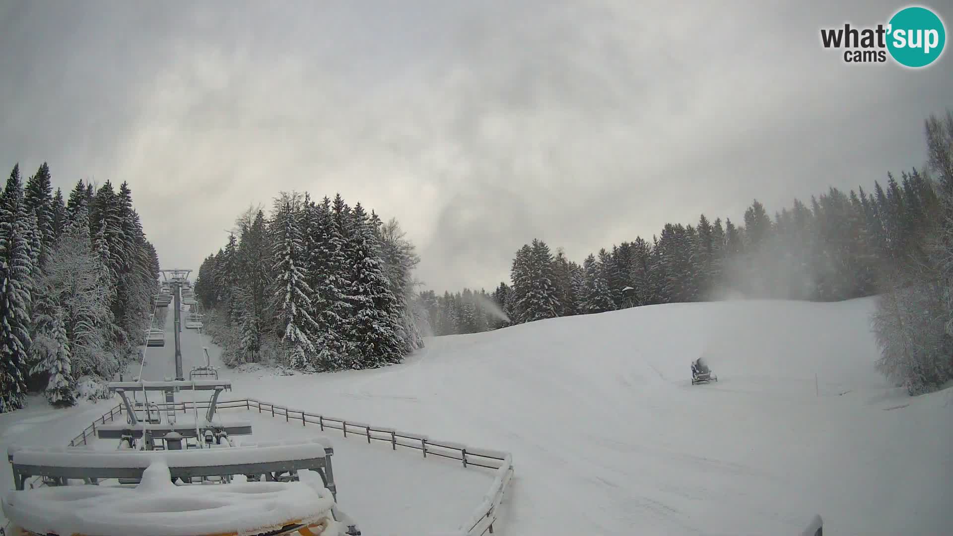 Camera Pohorje Ruška | Estación Inferior