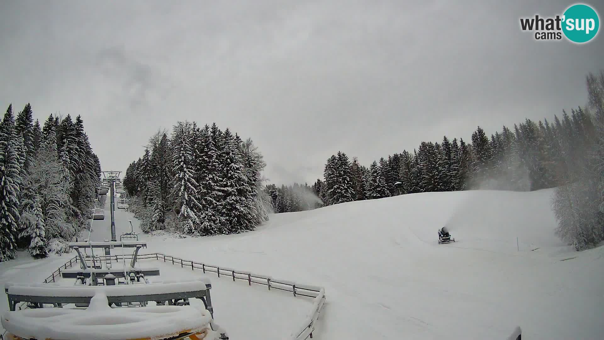 Webcam Pohorje Ruška | Stazione Inferiore