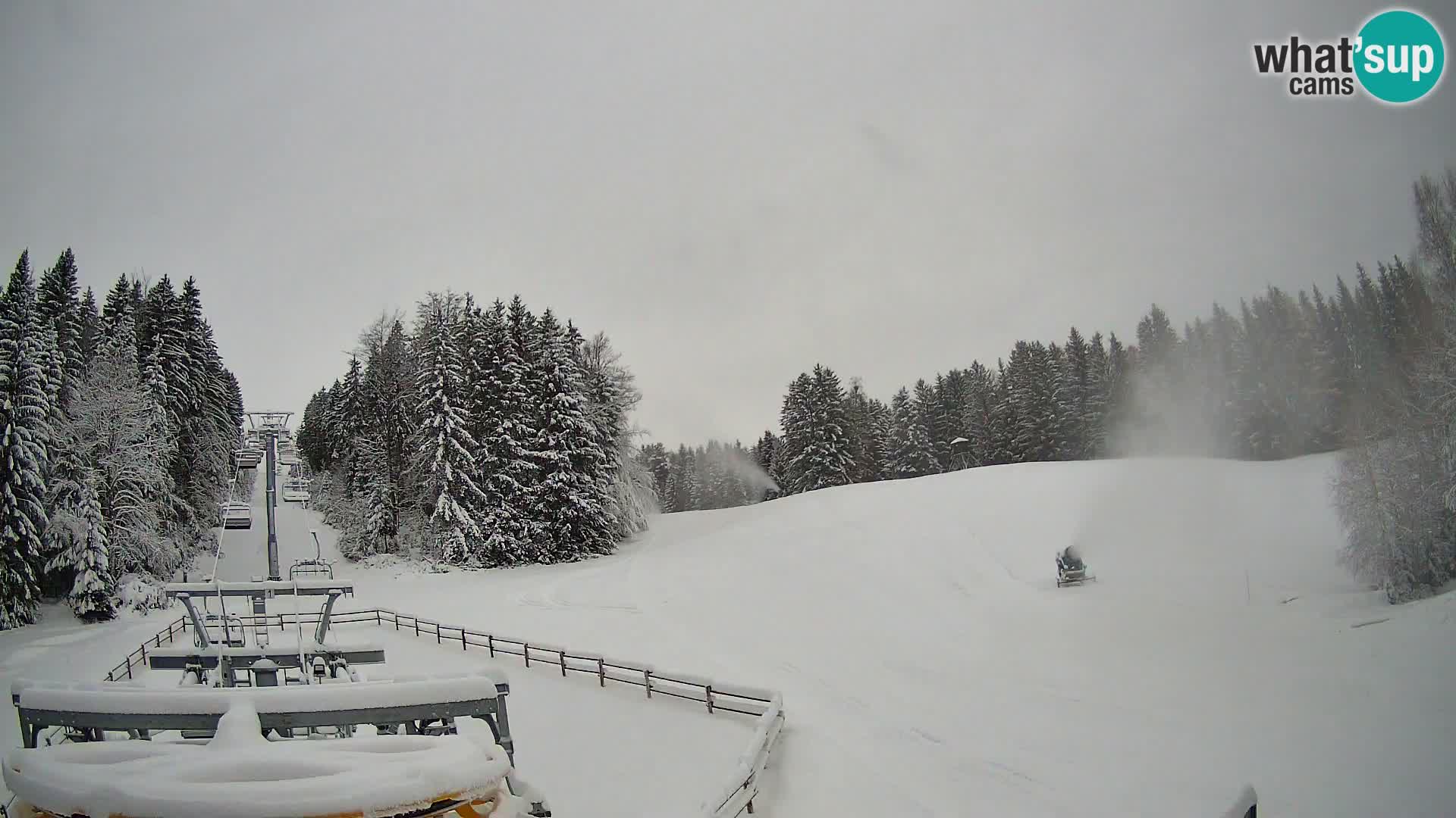 Camera Pohorje Ruška | Estación Inferior