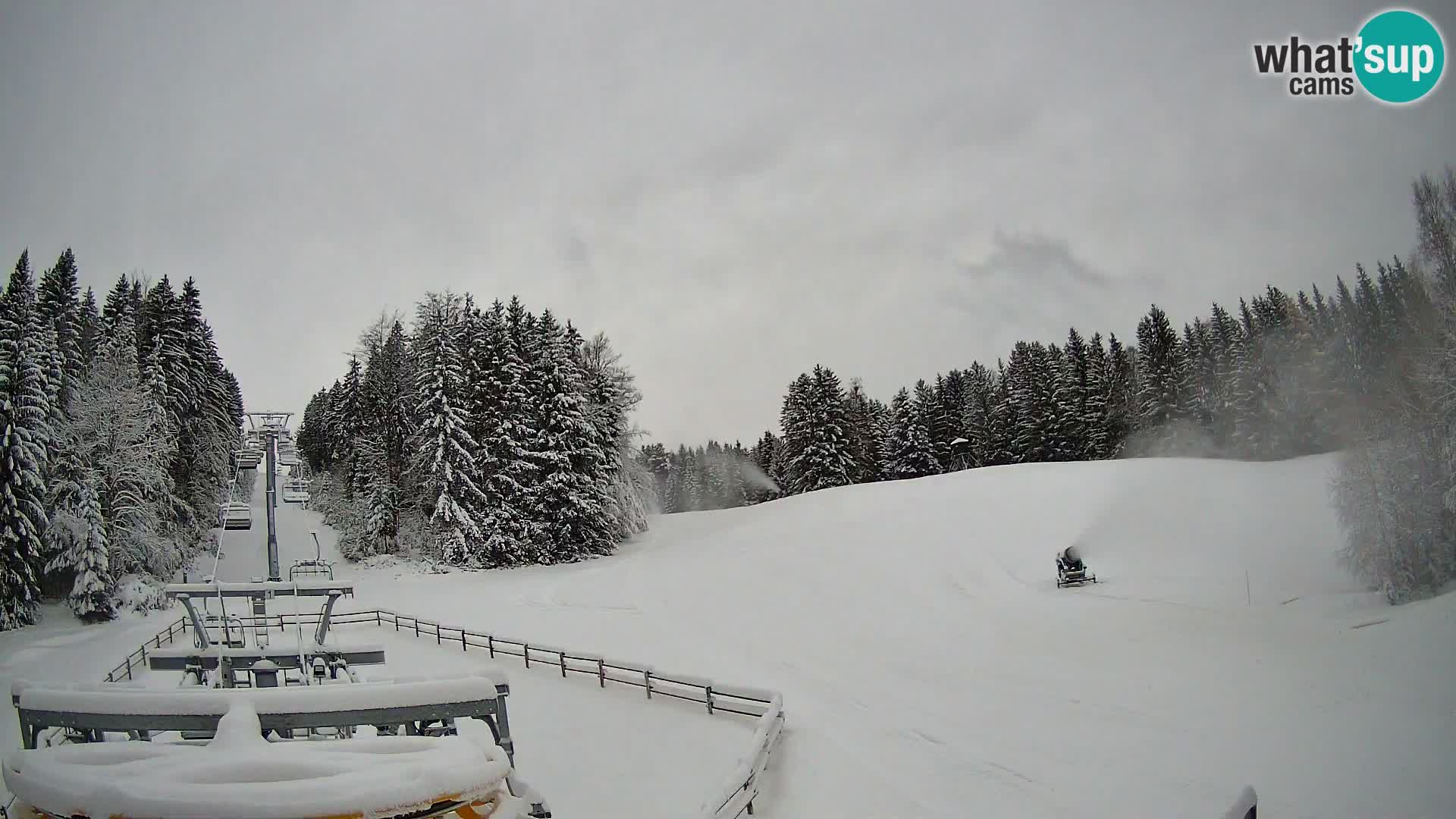 Webcam Pohorje Ruška | Stazione Inferiore