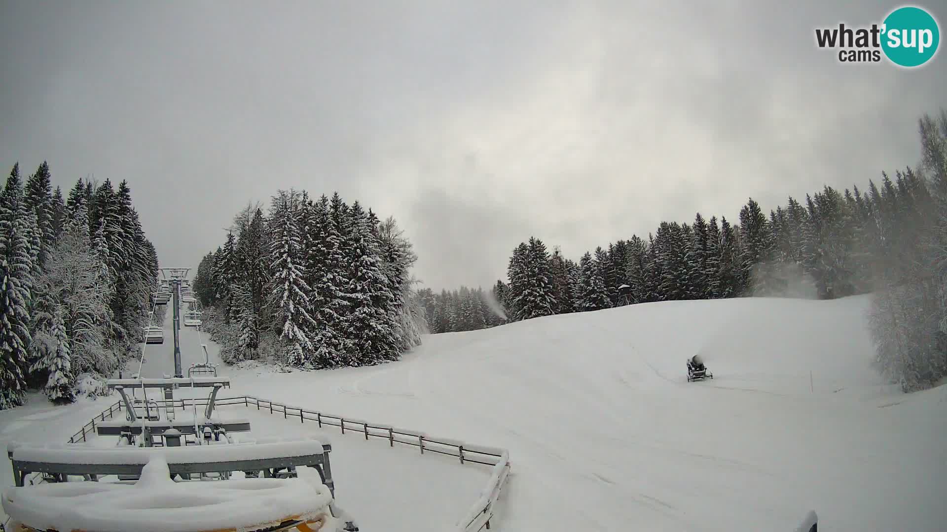 Webcam Pohorje Ruška | Stazione Inferiore