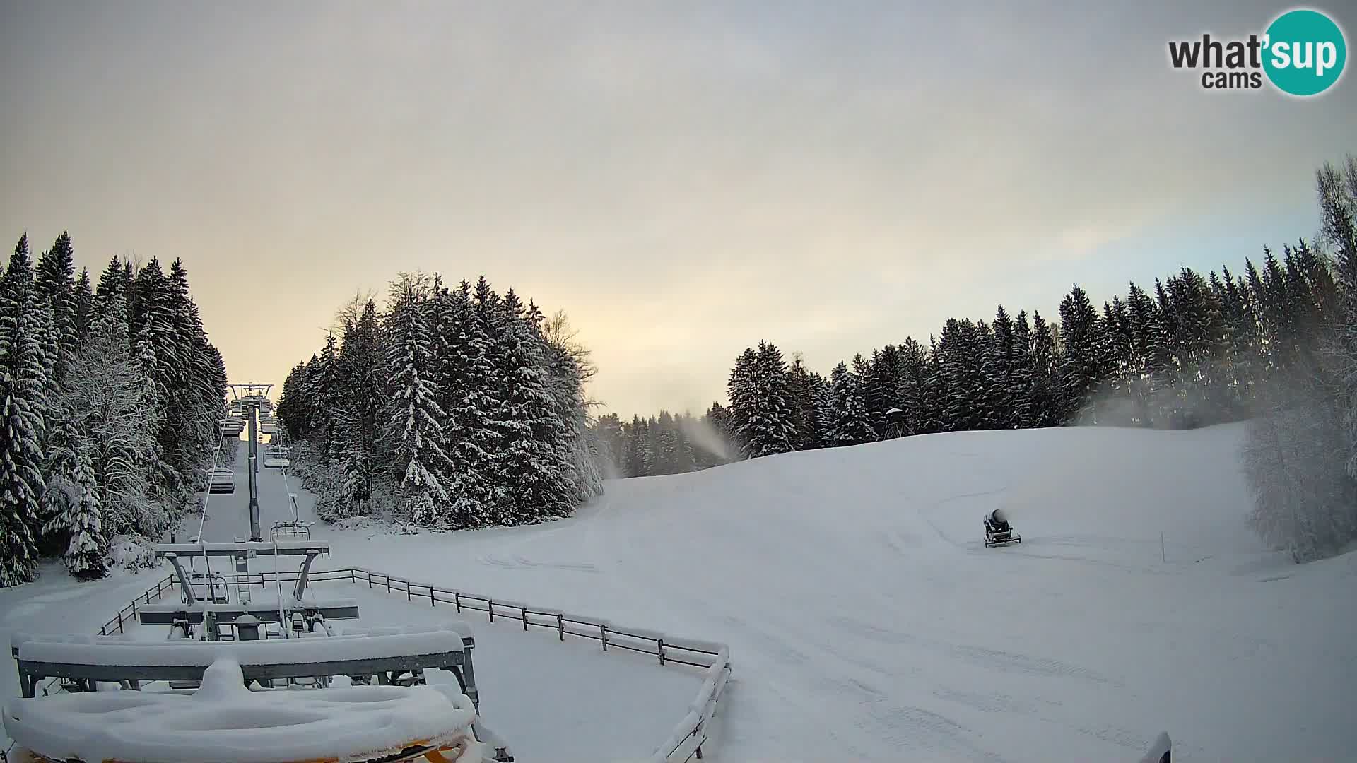 Spletna kamera Pohorje Ruška | Spodnja postaja