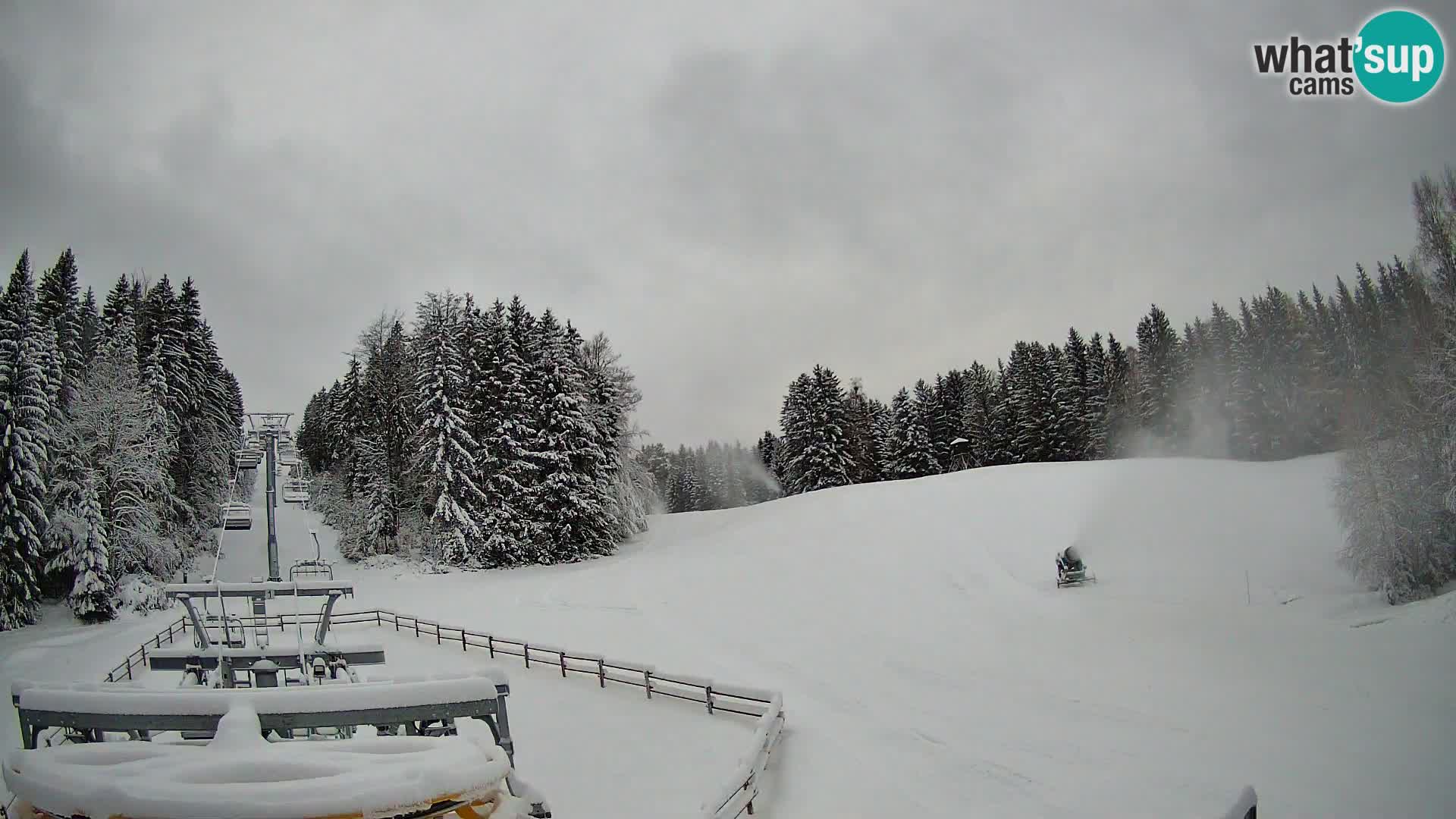 Webcam Pohorje Ruška | Stazione Inferiore