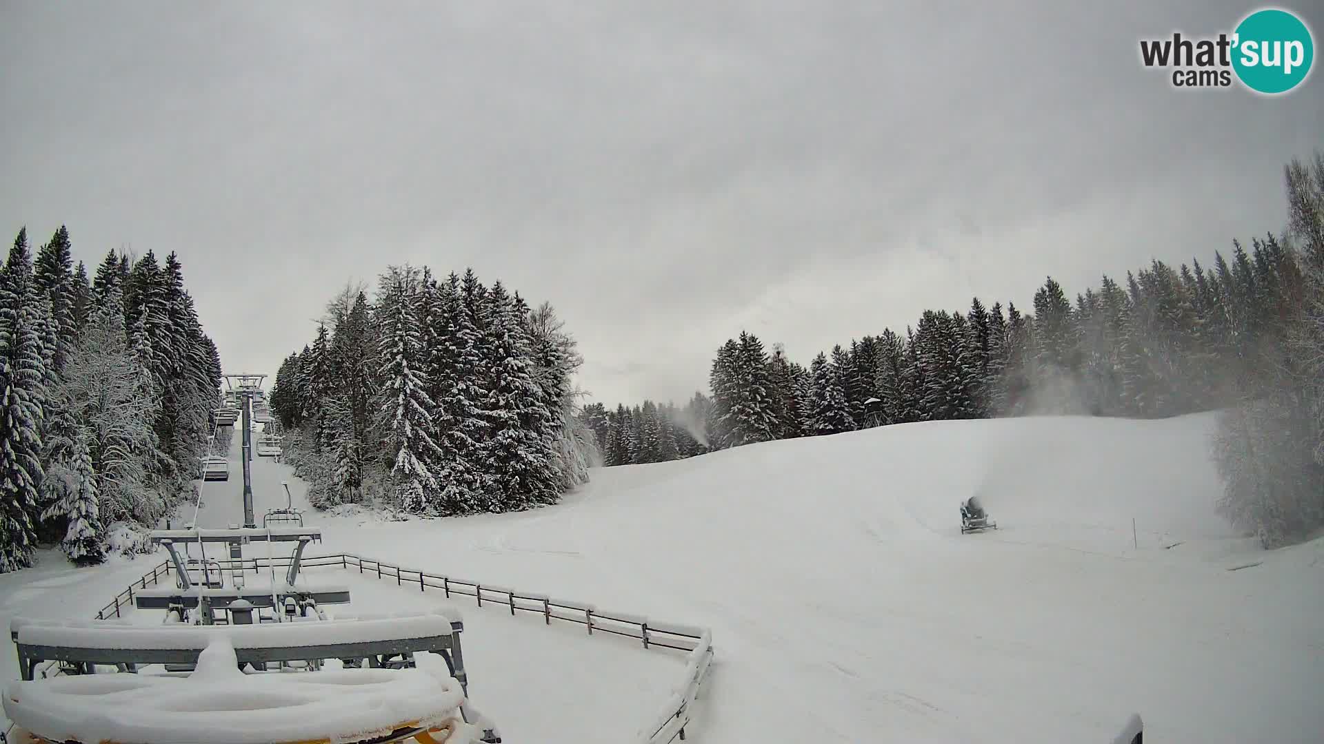 Camera Pohorje Ruška | Estación Inferior