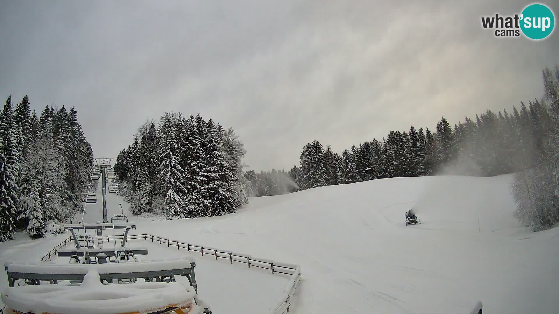 Webcam Pohorje Ruška | Stazione Inferiore