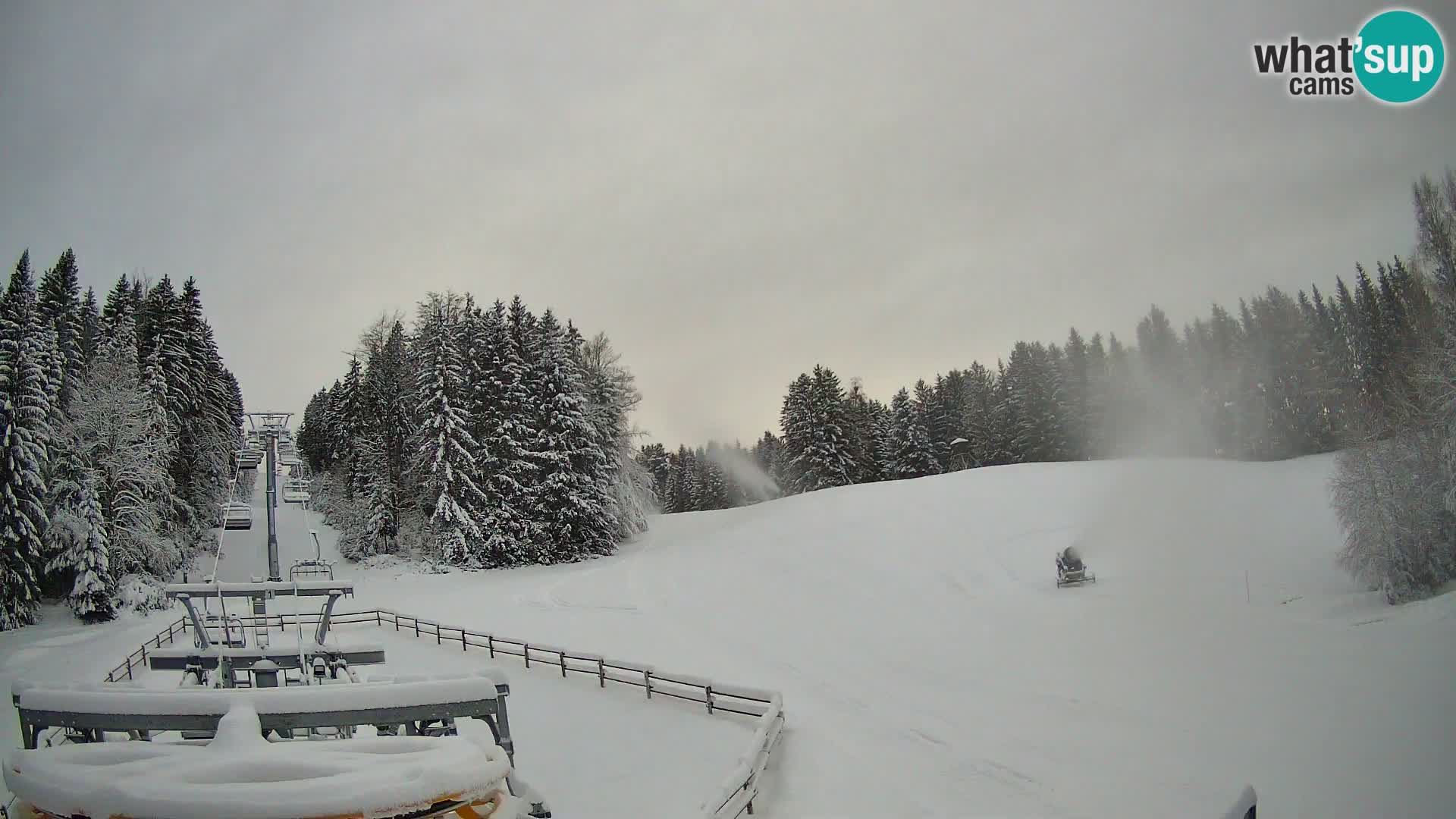 Camera Pohorje Ruška | Estación Inferior