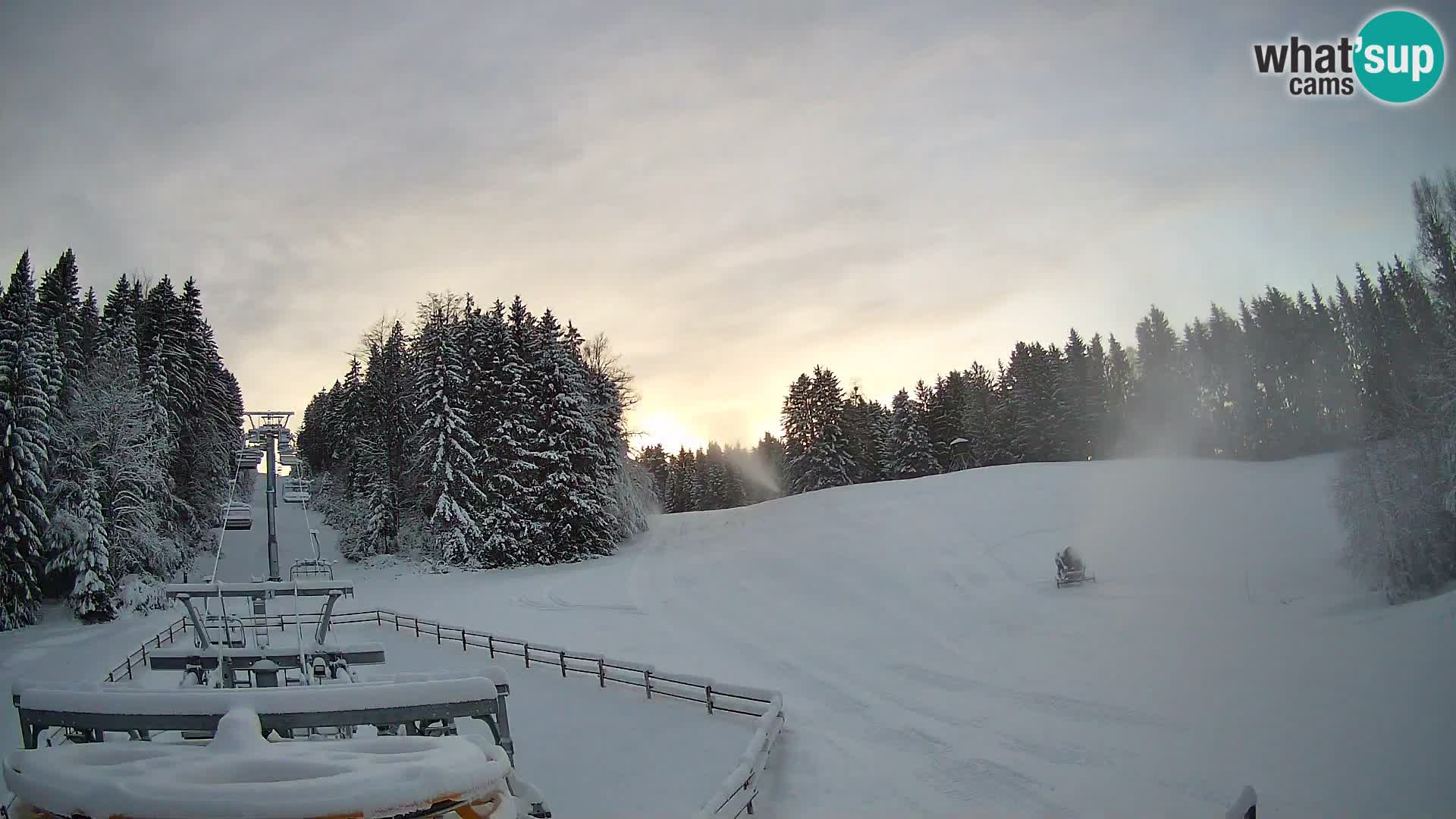 Camera Pohorje Ruška | Estación Inferior