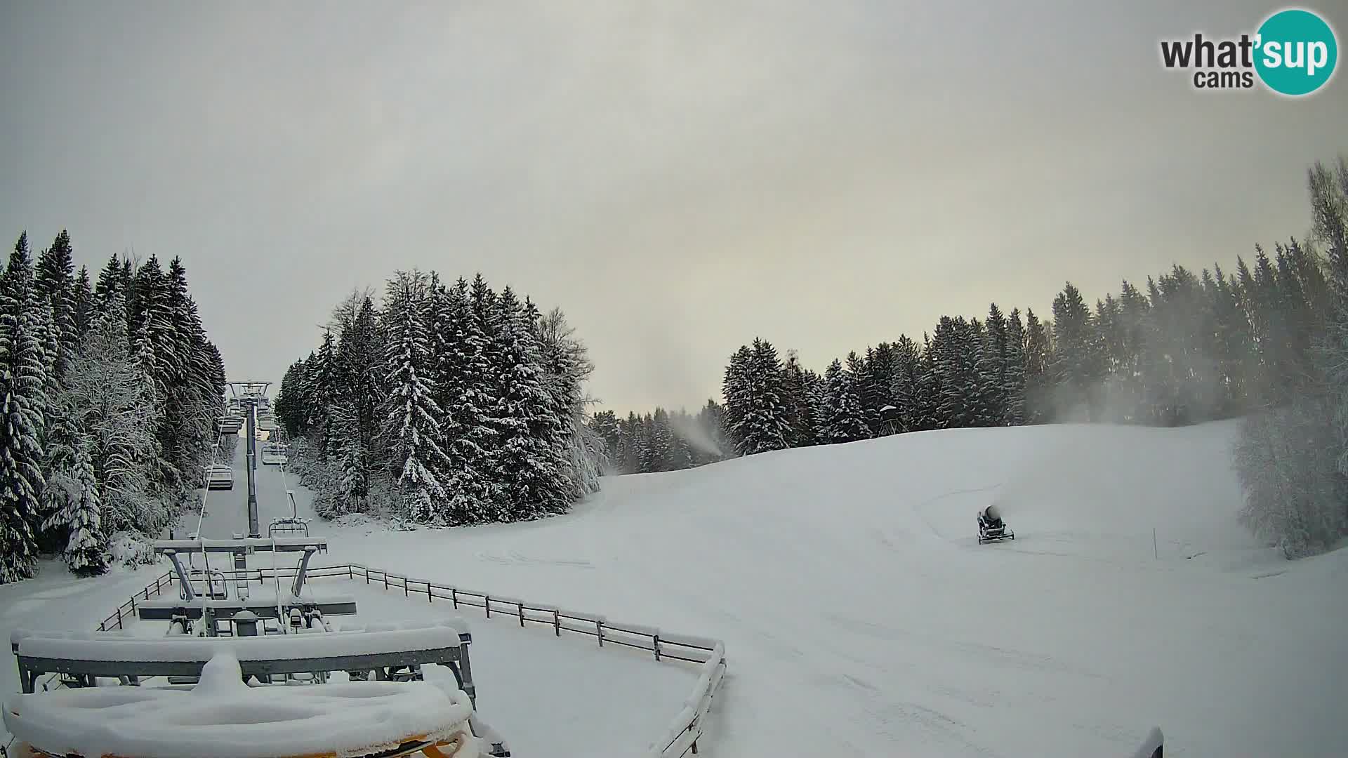 Webcam Pohorje Ruška | Talstation