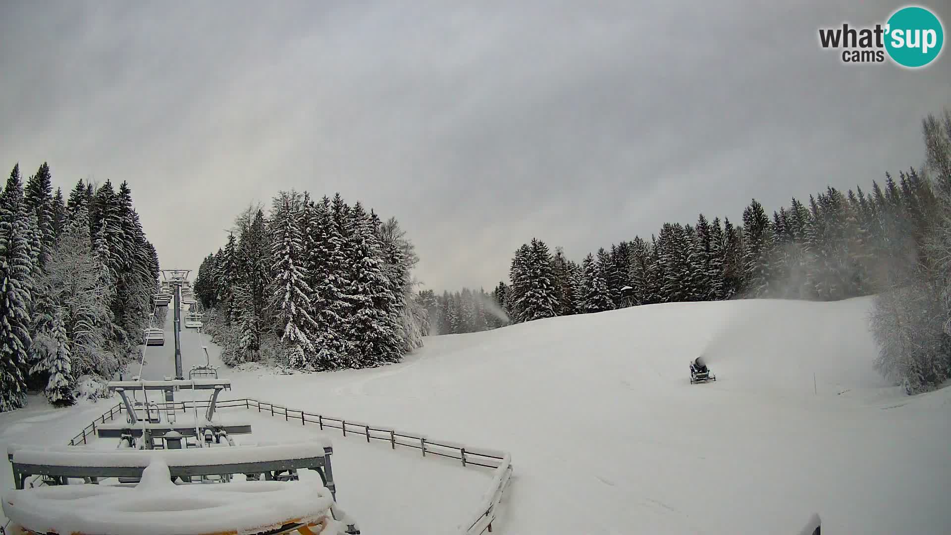 Webcam Pohorje Ruška | Stazione Inferiore