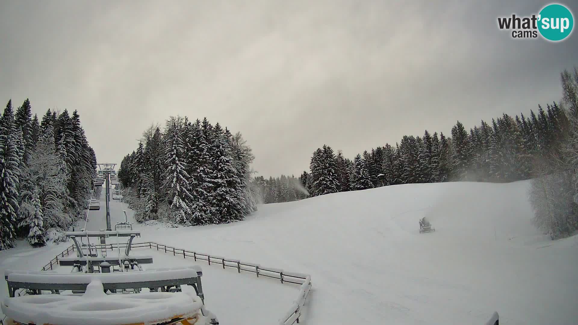 Camera Pohorje Ruška | Estación Inferior