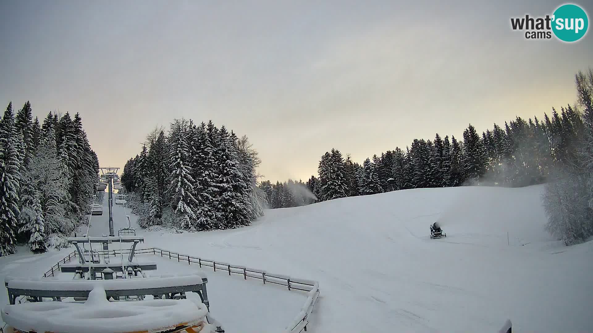 Webcam Pohorje Ruška | Talstation