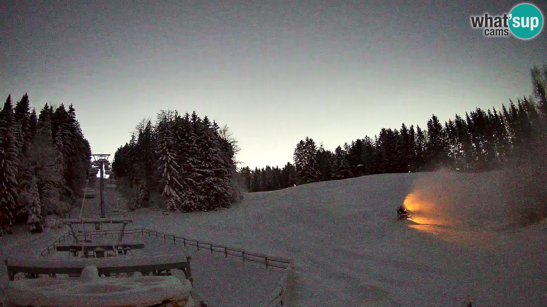 Camera Pohorje Ruška | Estación Inferior