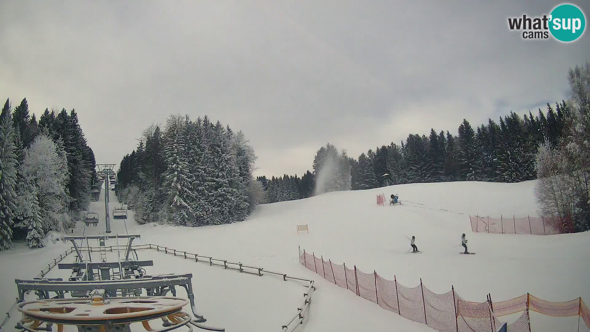 Camera Pohorje Ruška | Estación Inferior