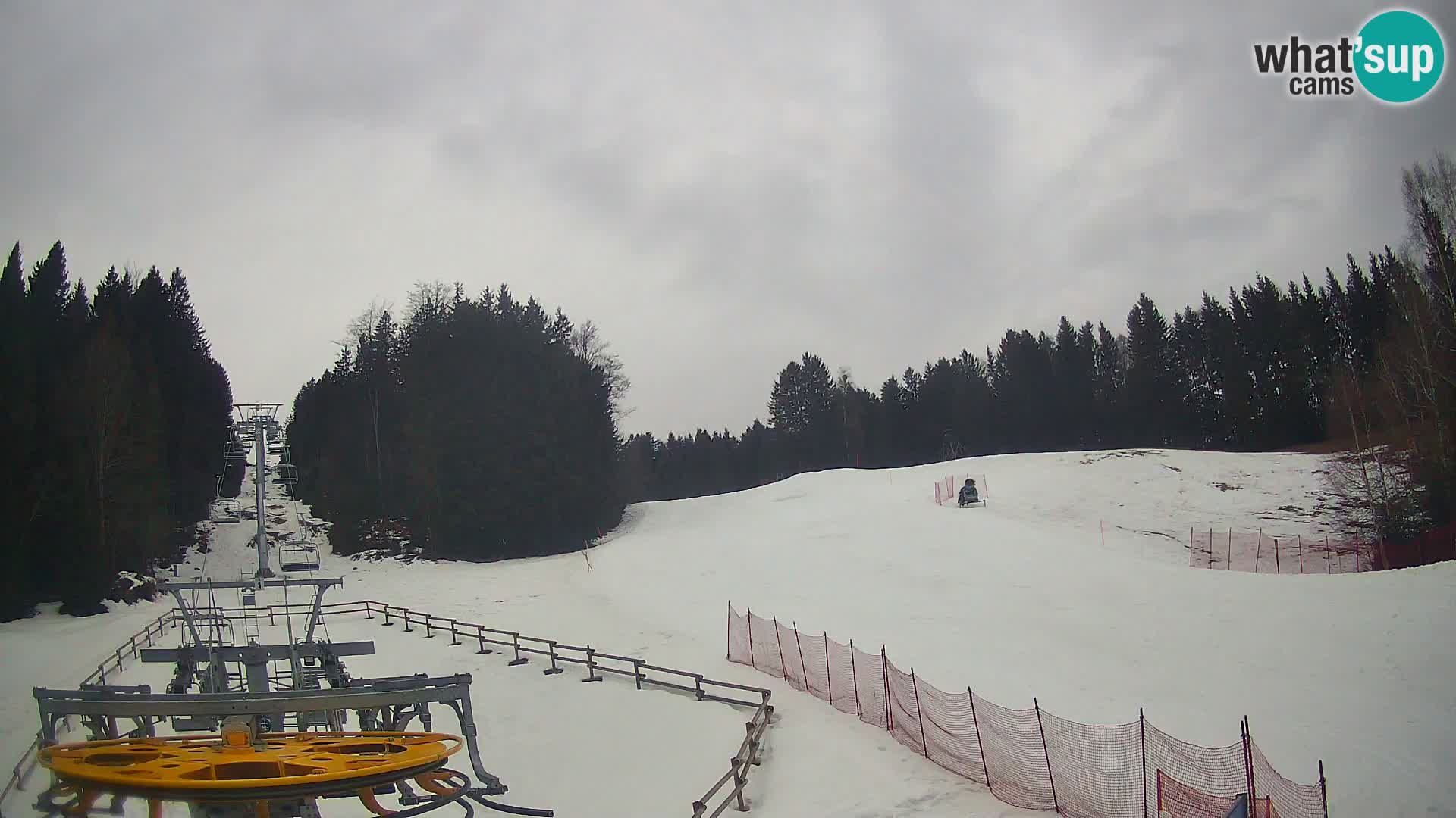 Spletna kamera Pohorje Ruška | Spodnja postaja