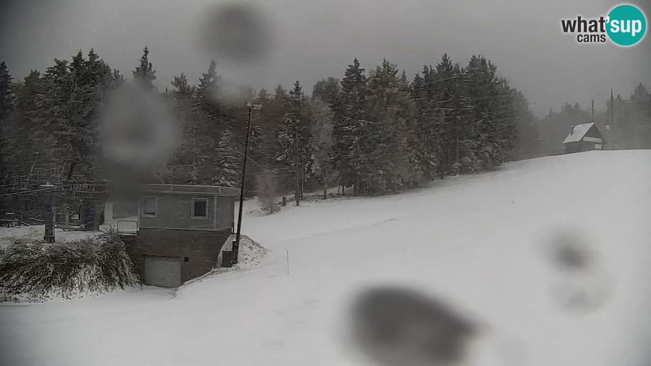 Webcam Pohorje | Stazione Inferiore Sleme