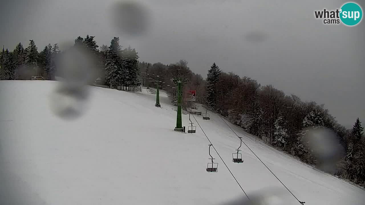 Pohorje Webcam | Sleme Talstation