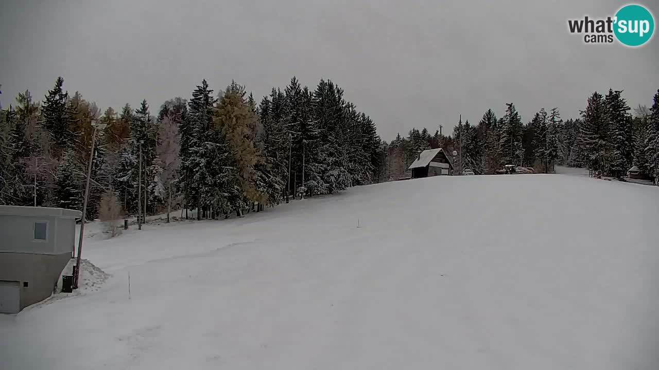 Pohorje spletna kamera | Spodnja postaja Sleme