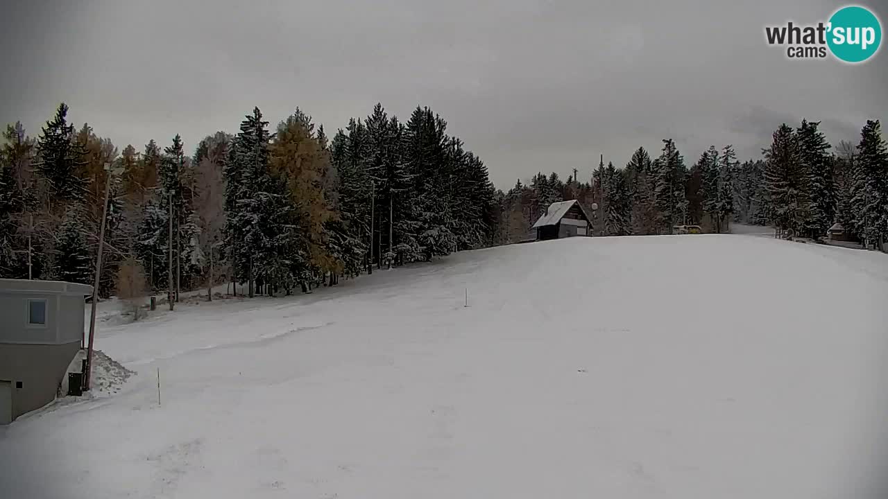 Pohorje Web kamera | Sleme Donja Stanica