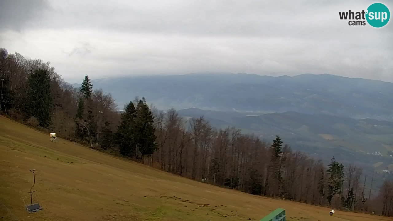 Pohorje Webcam | Sleme Talstation