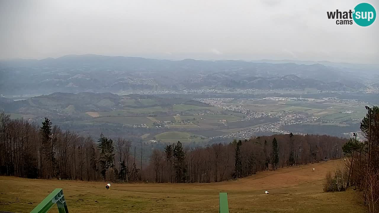 Webcam Pohorje | Stazione Inferiore Sleme