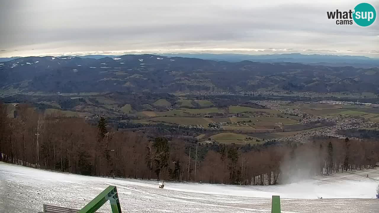 Webcam Pohorje | Station Sleme