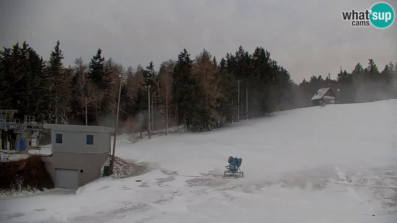 Pohorje Webcam | Sleme Talstation