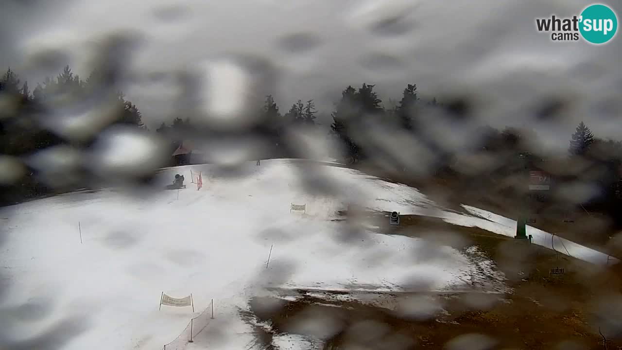 Pohorje webcam | Sleme lower station