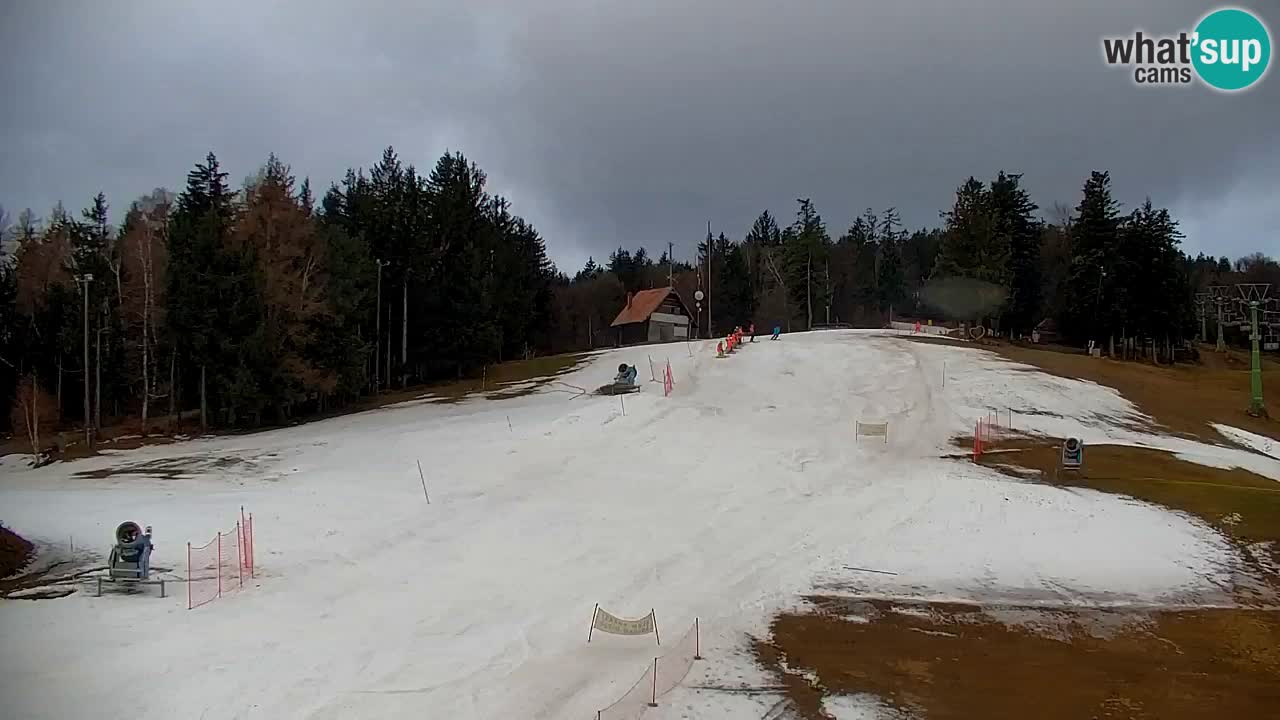 Pohorje Webcam | Sleme Talstation