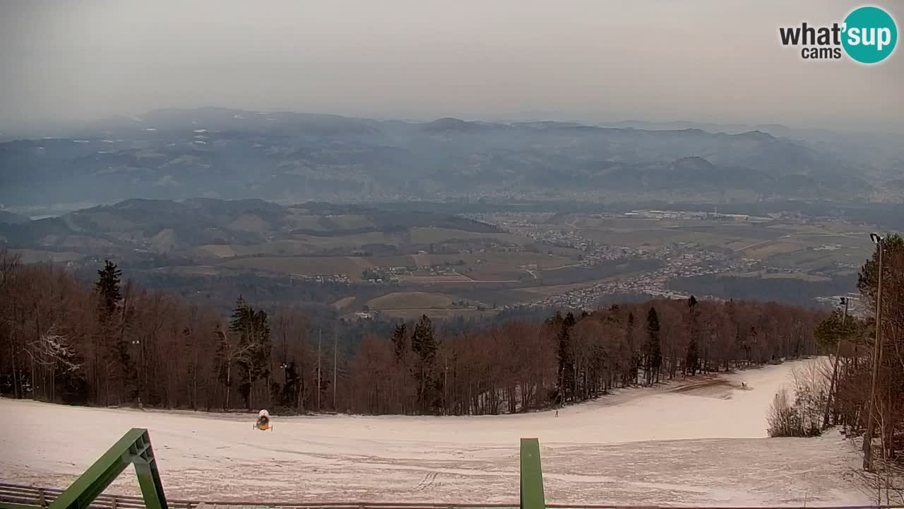 Pohorje Web kamera | Sleme Donja Stanica