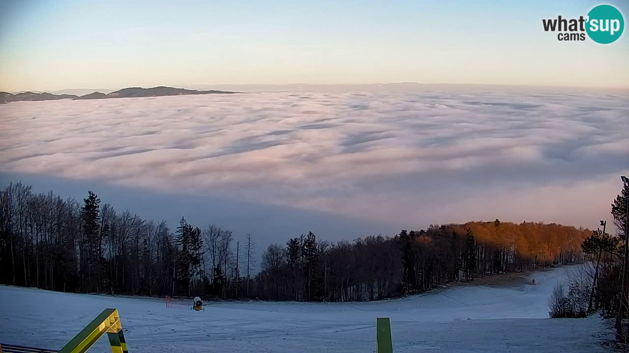 Pohorje Webcam | Sleme Talstation