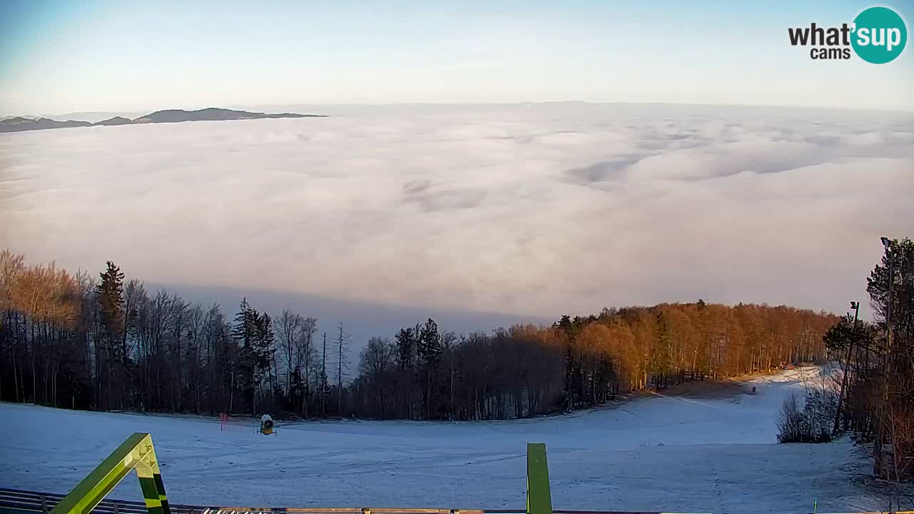 Webcam Pohorje | Station Sleme