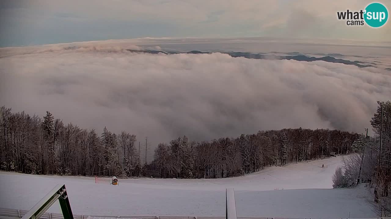 Pohorje Webcam | Sleme Talstation