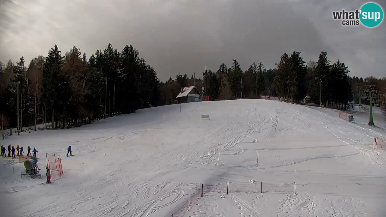 Webcam Pohorje | Estación Inferior de Sleme