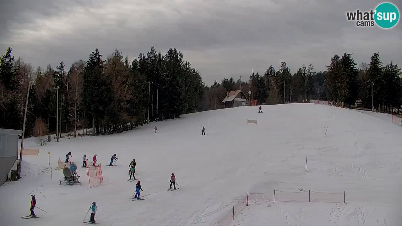 Webcam Pohorje | Estación Inferior de Sleme